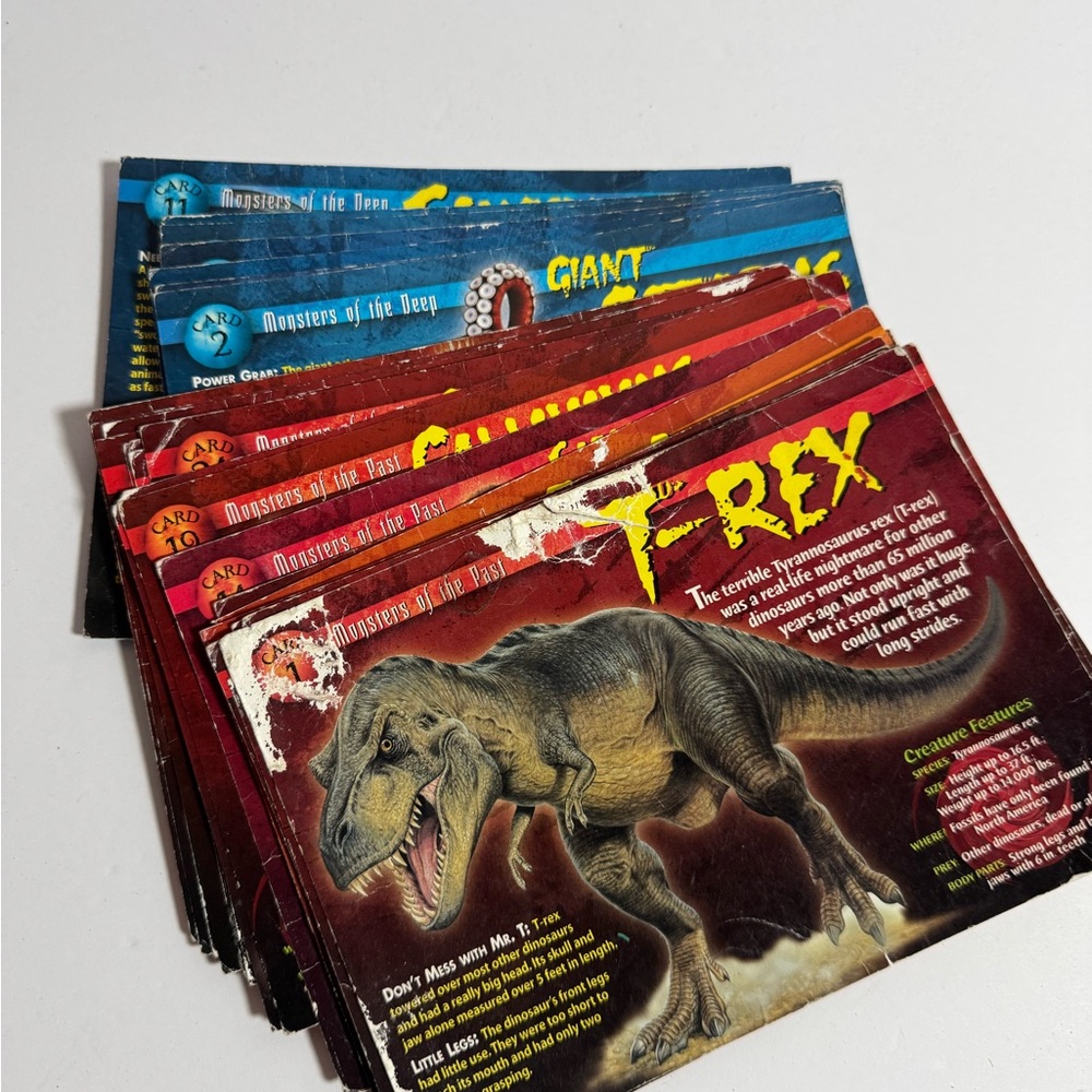 Dinosaur Trading Cards Set - Multicolor
